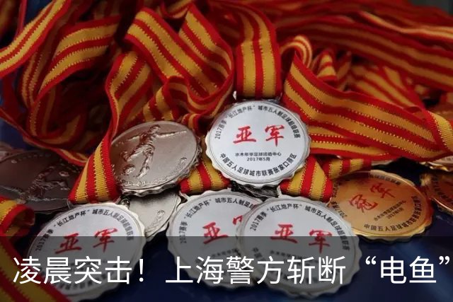 凌晨突击！上海警方斩断“电鱼”黑链，12人落网涉案超百万